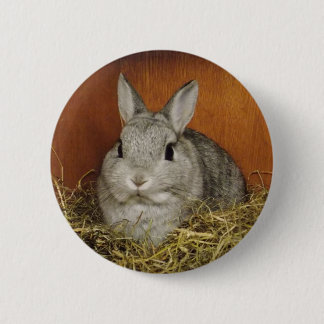 Cute Bunny Button Badge