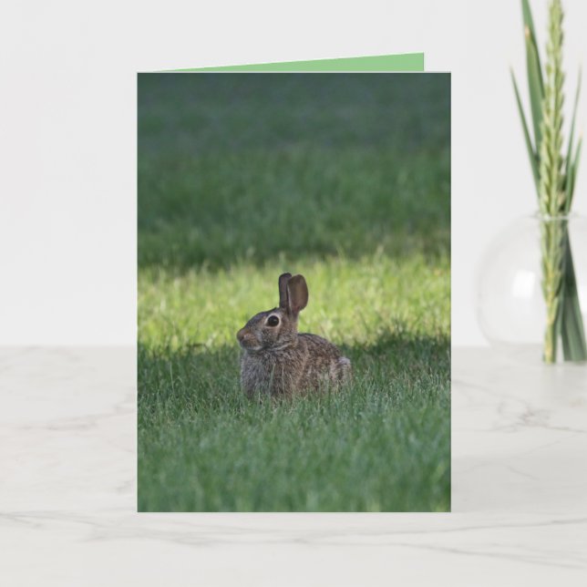 Cute bunny card (Front)