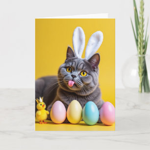 Cute Bunny Ears Kitty Cat Card