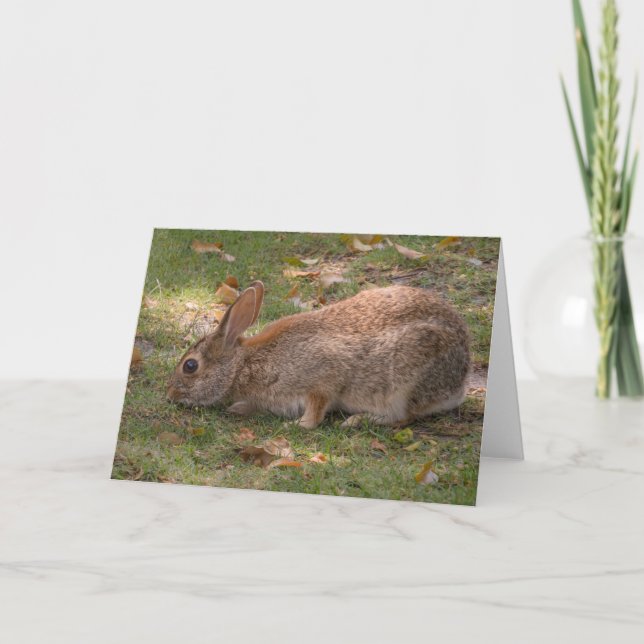 Cute Bunny Holiday Card (Front)