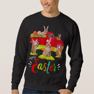 Cute Bunny Persian Cats Riding Red Truck Happy Eas Sweatshirt