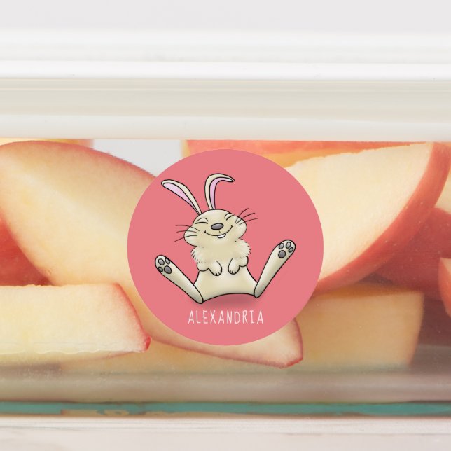 Cute bunny rabbit cartoon illustration (Affixed)