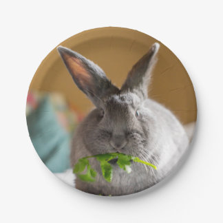 Cute Bunny Rabbit Eating Salad Paper Plates
