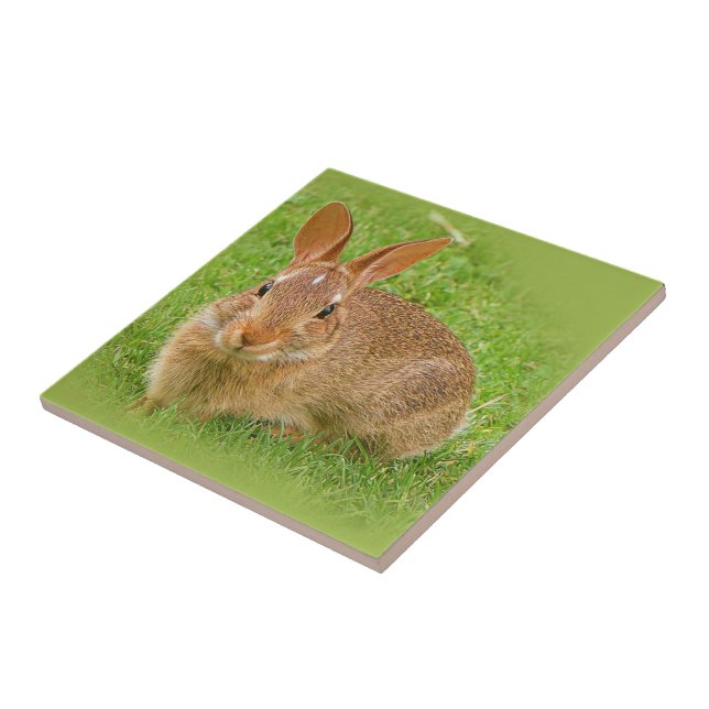 Cute Bunny Rabbit on the Golf Green Ceramic Tile (Side)