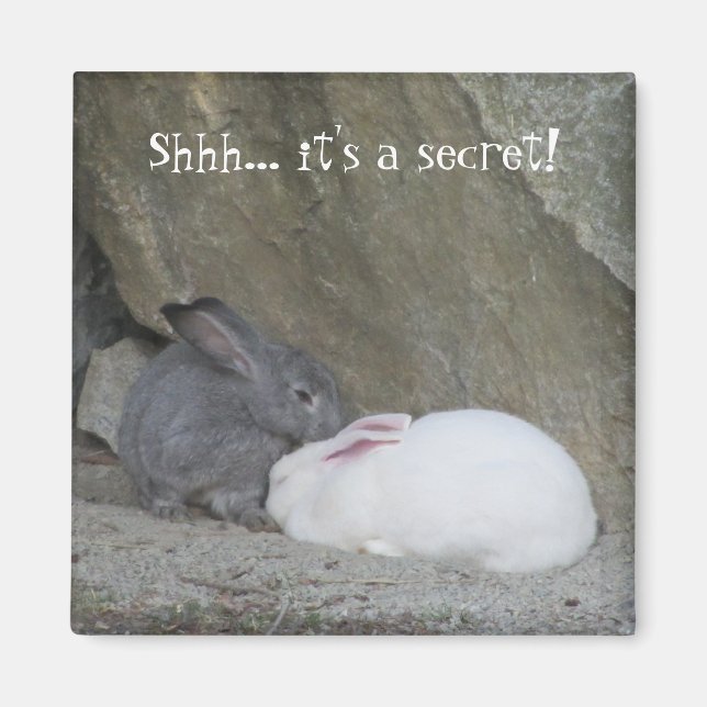 Cute Bunny Rabbits with Saying Magnet (Front)