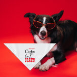 Cute but CRAZY! Text Personalised Pet Bandana<br><div class="desc">This darling bandanna, with funny text, is designed with complimentary fonts in black and bright red. Created especially for those cute little pets with attitude! Cuddling one minute and morphing into the tasmanian devil the next! They are fun and entertaining, loveable and sweet... but watch out if you get on...</div>