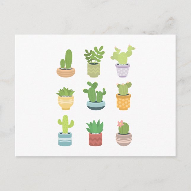 Cute Cacti  Postcard (Front)