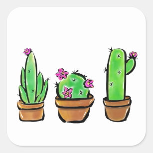 Cute Cactus cacti succulents  Square Sticker