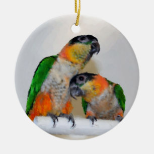 Cute Caique Parrot Pair Bird Ornament