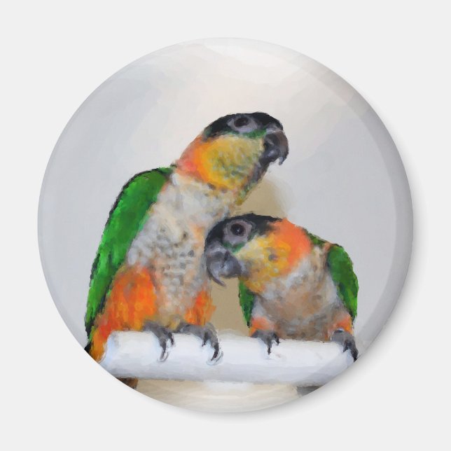 Cute Caique Parrot Pair Watercolor Magnet (Front)