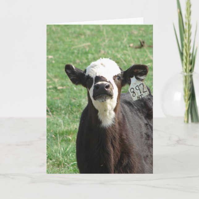 Cute Calf, We've Mooved Card (Front)