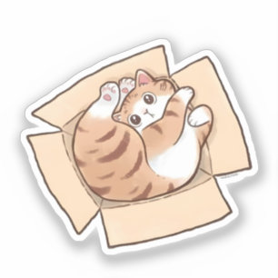 Cute Calico Cat in Cardboard Box