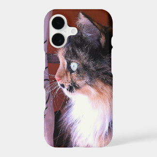 Cute Calico Cat Iphone 8s/7s Phone Case