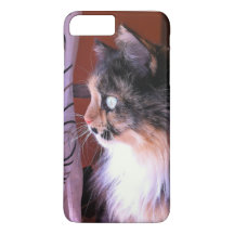 Cute Calico Cat Iphone 8s/7s Phone Case