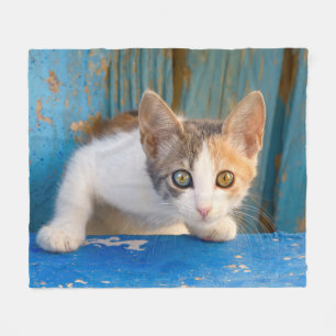 Cute Calico Cat Kitten Funny Curious Eyes Photo - Fleece Blanket