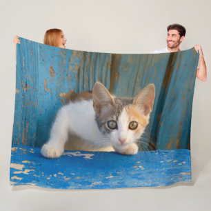 Cute Calico Cat Kitten Funny Curious Eyes Photo / Fleece Blanket