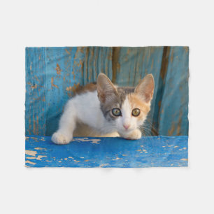 Cute Calico Cat Kitten Funny Curious Eyes Photo __ Fleece Blanket