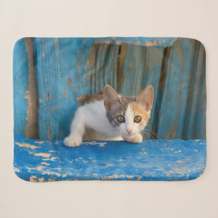 Cute Calico Cat Kitten Funny Curious Eyes Photo Sherpa Blanket