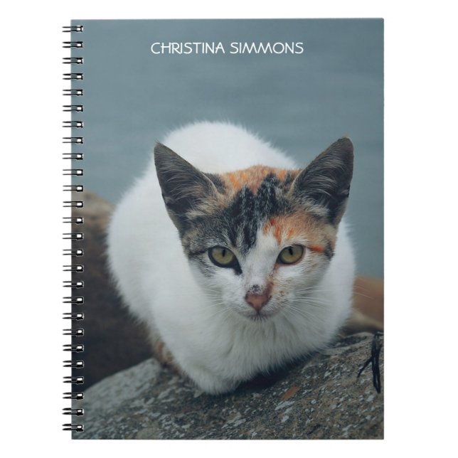 Cute Calico Cat Personalised Notebook (Front)