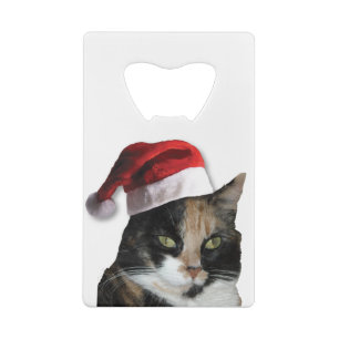Cute Calico Cat Wearing Santa Hat