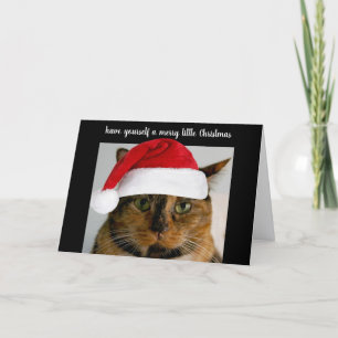 Cute calico cat with Santa cap, personalised Holiday Card