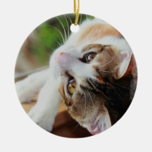 Cute Calico Kitten Christmas Ornament