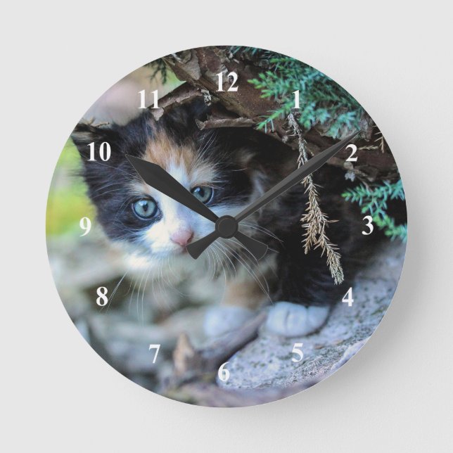 Cute Calico Kitten Photo Round Clock (Front)