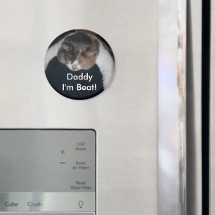 Cute Calico Sleeping Cat Over Shoulder Magnet