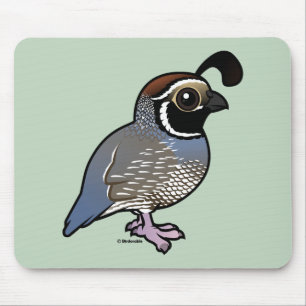 Cute California Quail Mouse Pad