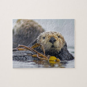 Cute California Sea Otter - Wildlife Photography Jigsaw Puzzle