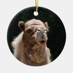 Cute Camel Ceramic Tree Decoration