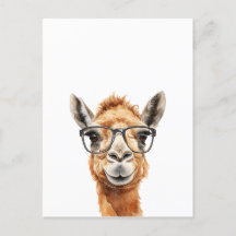 Cute camel with glasses