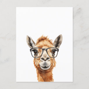 Cute camel with glasses postcard