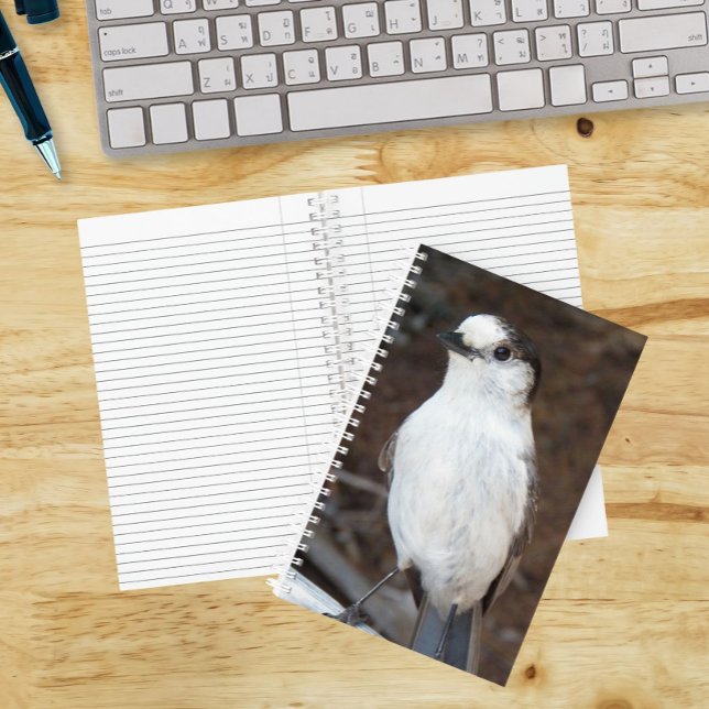 Cute Canada Jay Photo Notebook (In Situ)