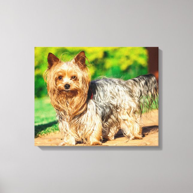 Cute Canvas Print (Front)