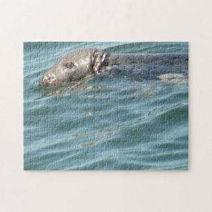 Cute Cape Cod Seal Photography Jigsaw Puzzle