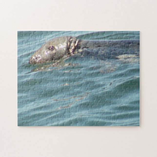 Cute Cape Cod Seal Photography Jigsaw Puzzle (Horizontal)