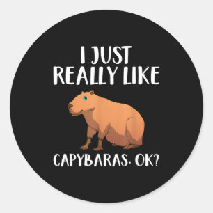 Cute Capybara Art For Men Women Kids Animal Rodent Classic Round Sticker