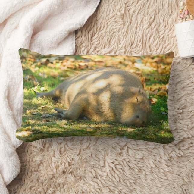 Cute Capybara Dreams in the Summer Sun Lumbar Cushion (Blanket)