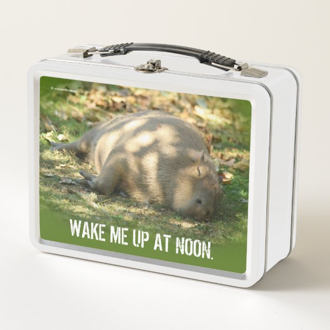 Cute Capybara Dreams in the Summer Sun Metal Lunch Box (Front)