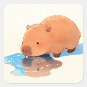 Cute Capybara Drinking from Blue Puddle Square Sticker