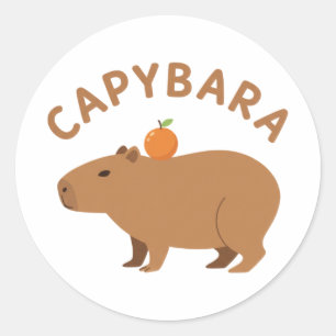 Cute Capybara With Orange On Head Minimalist Meme Classic Round Sticker