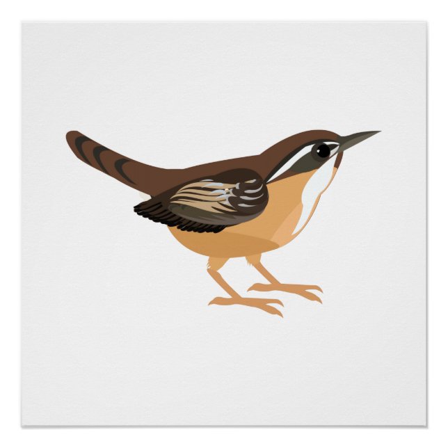 Cute Carolina Wren Poster (Front)