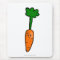 Cute Carrot