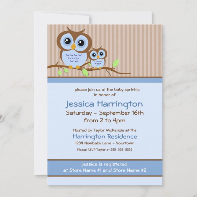 Cute Cartoon Blue Owl Baby Sprinkle Invitations (Front)