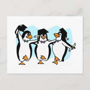 Cute Cartoon Graduating Penguins Postcard