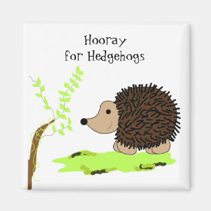 Cute Cartoon Hedgehog Magnet