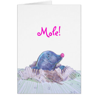 Cute Cartoon Mole and Molehill