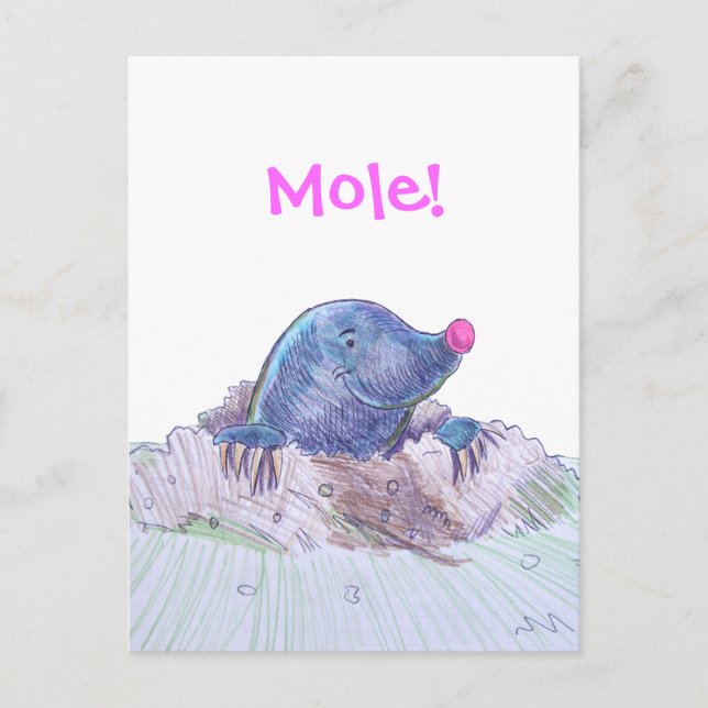 Cute Cartoon Mole and Molehill Postcard (Front)