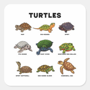 Cute Cartoon Turtles of the World Square Sticker